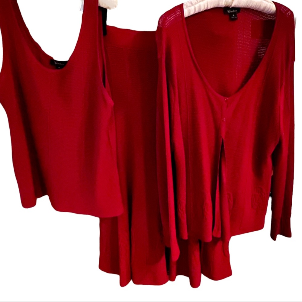 Classic 3-pc knit CARDIGAN, CAMISOLE & A-line SKIRT L/XL Oxblood Red Col…